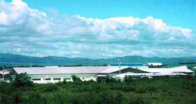 Cebu Toyo Corporation